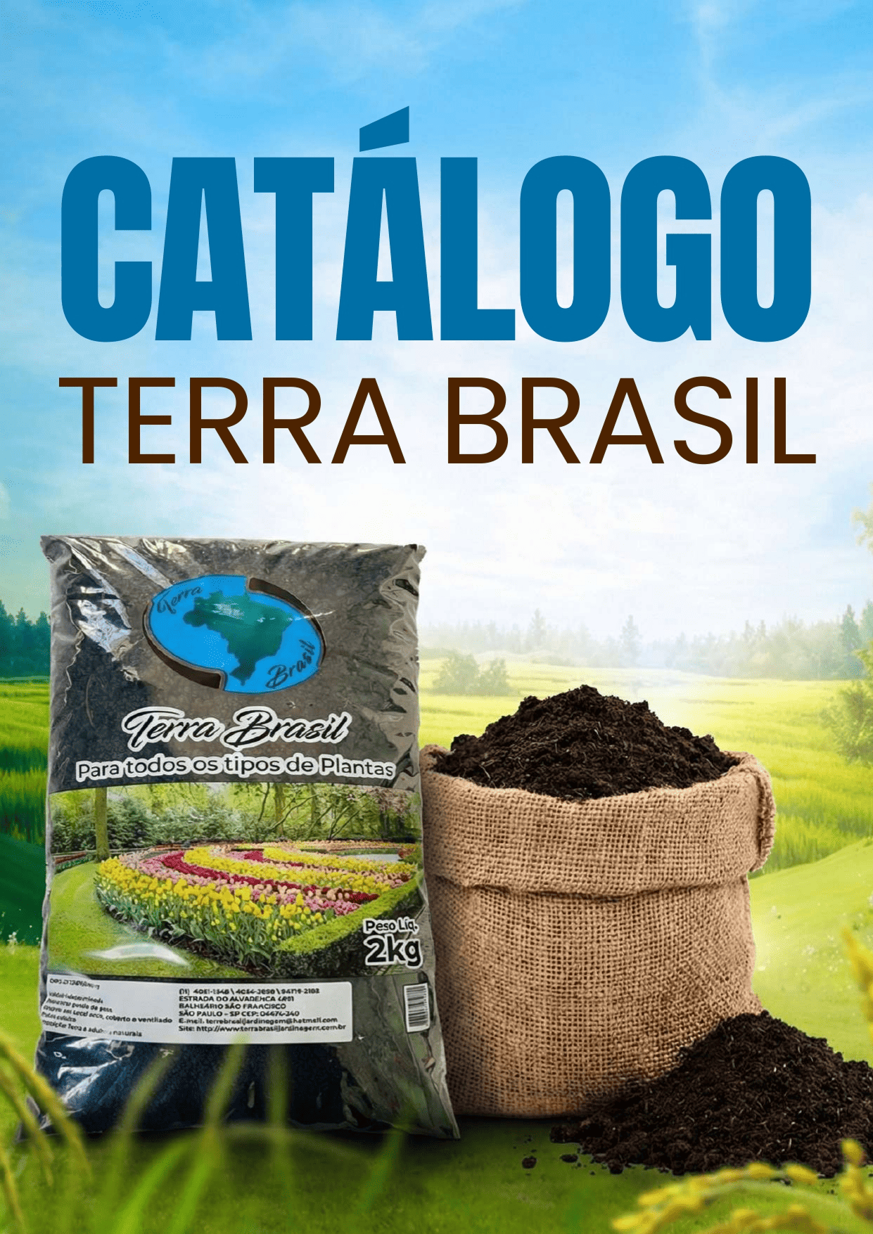 TERRA BRASIL - Página 1.png
