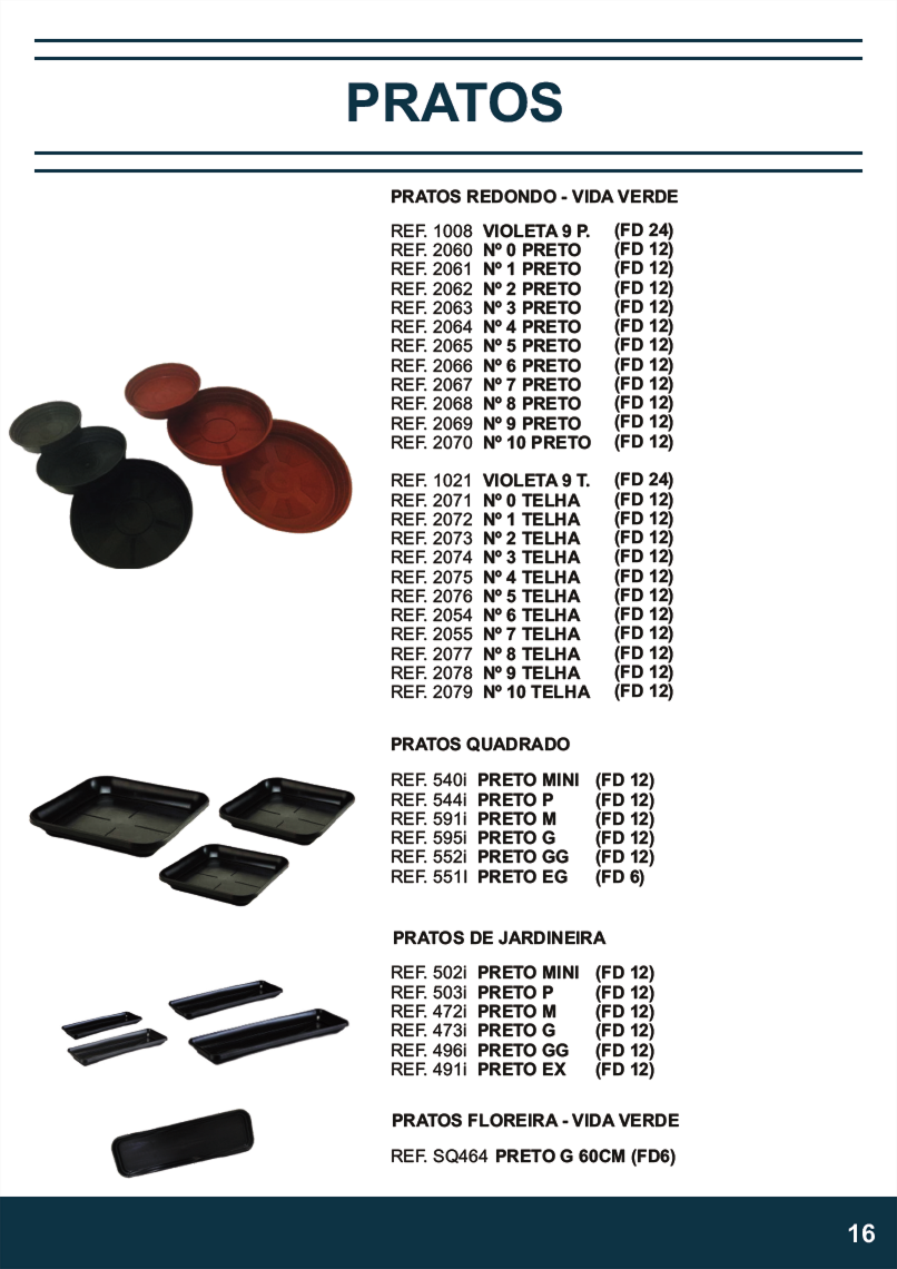 TERRA BRASIL - Página 16.png