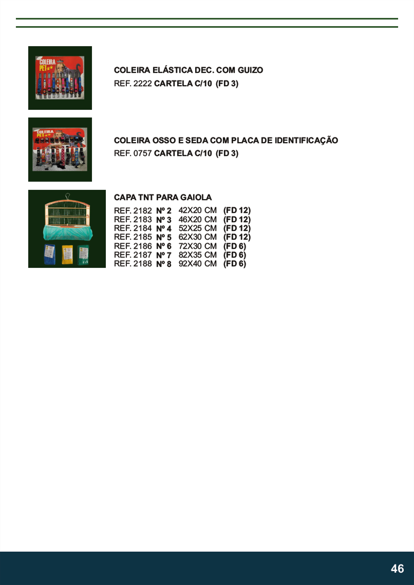 TERRA BRASIL - Página 46.png