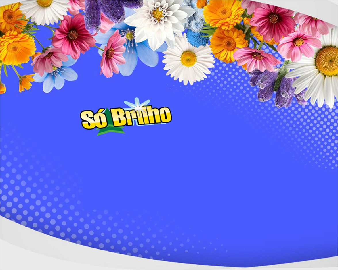SÓ BRILHO - Página 6.png