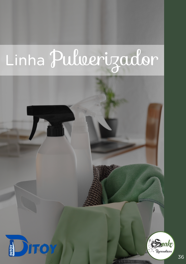 DITOY - Página 36.png