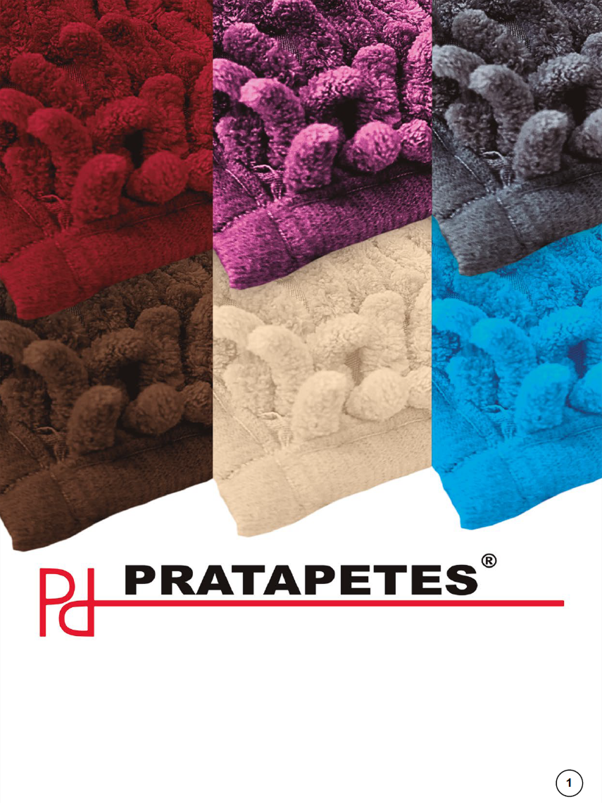 Pratapetes - Página 1.png
