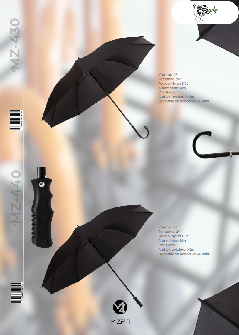 MIZPA - Página 34.png