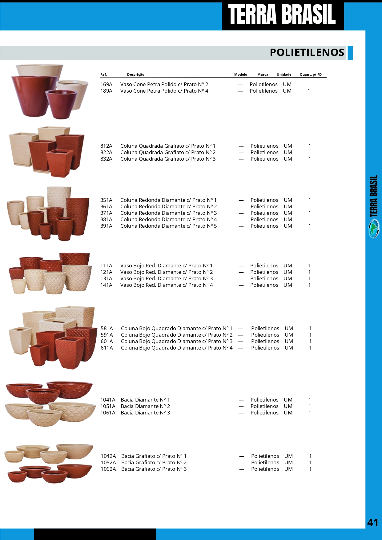 TERRA BRASIL - PÁGINA 41.png