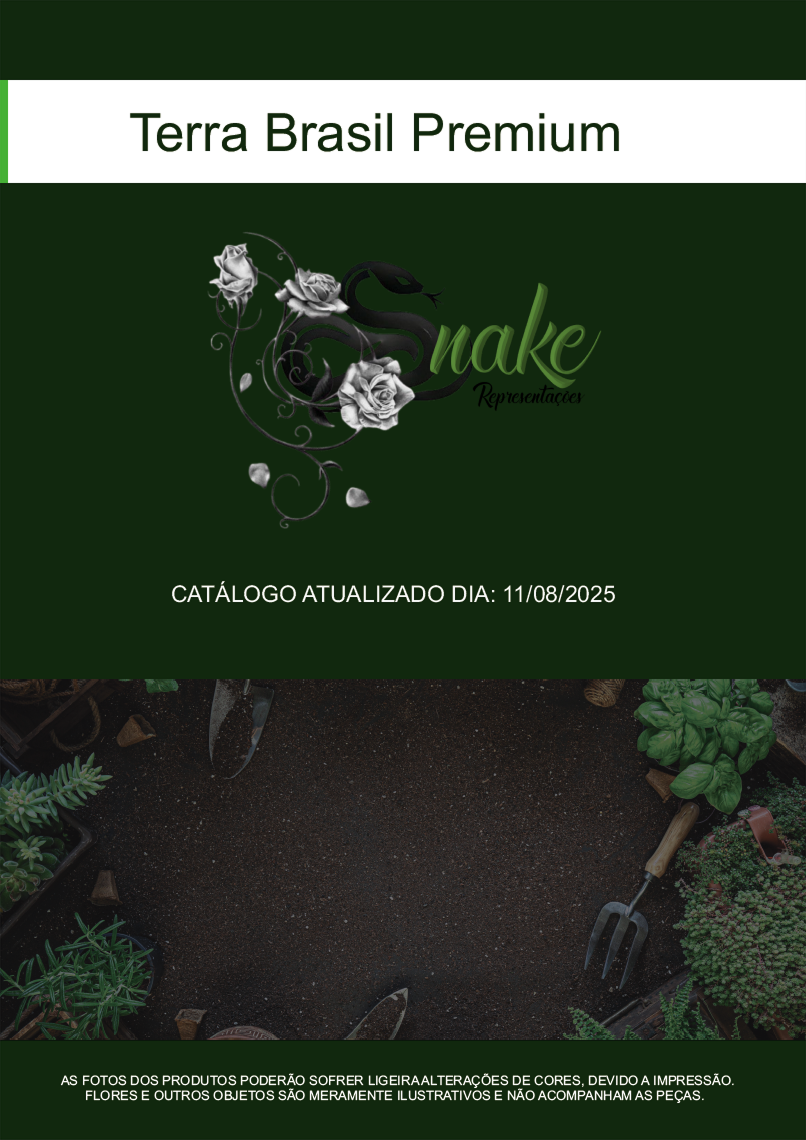 TERRA BRASIL - Página 64.png