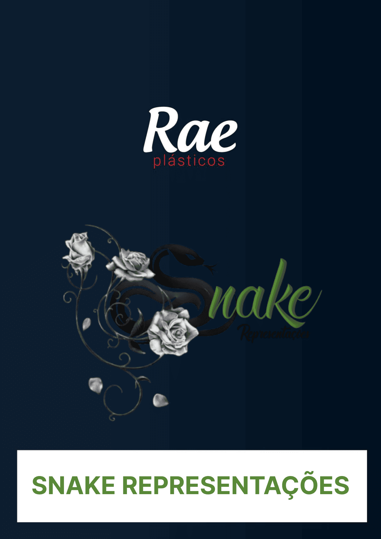 RAE PLÁSTICOS - PÁGINA 46.png