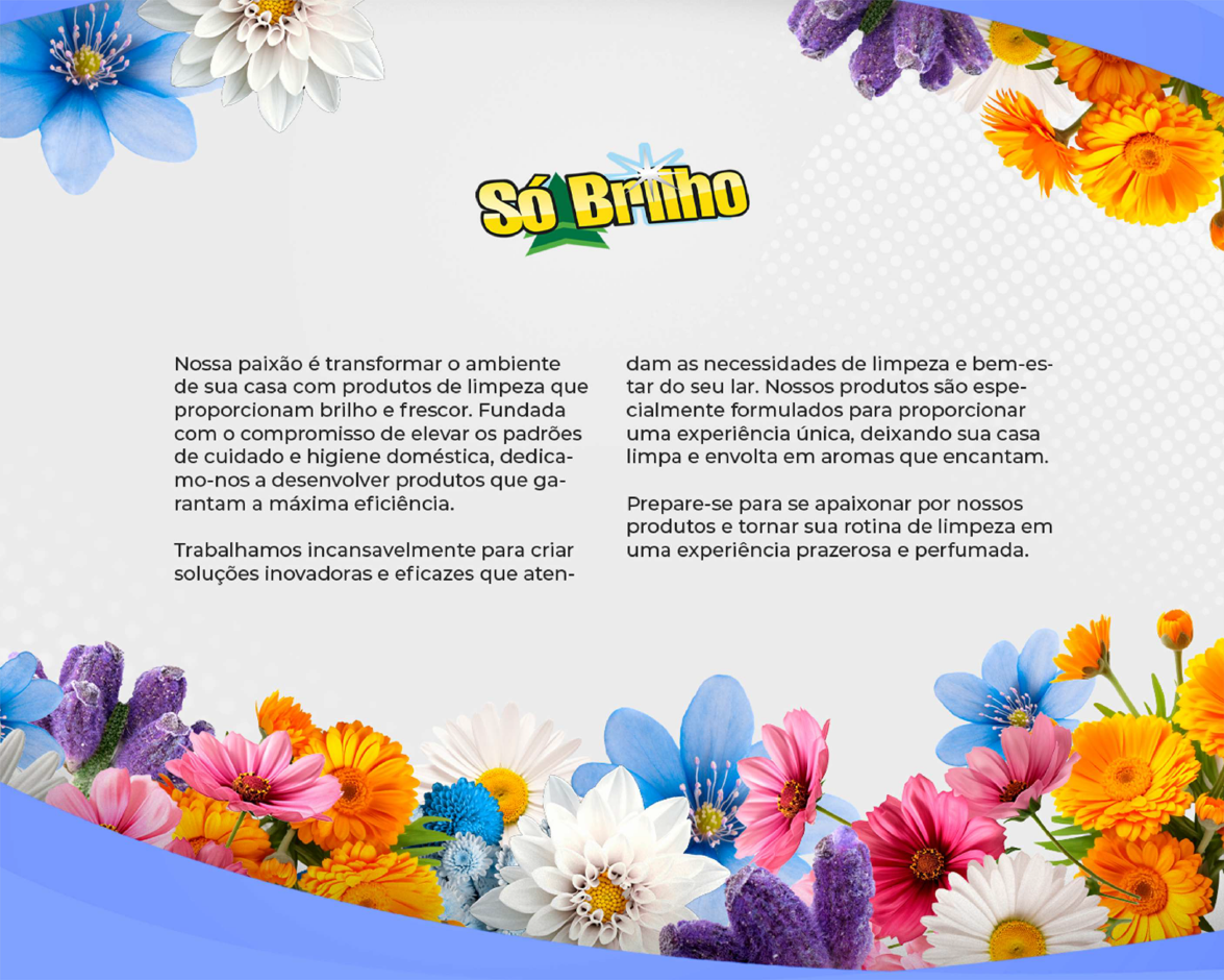 SÓ BRILHO - Página 2.png
