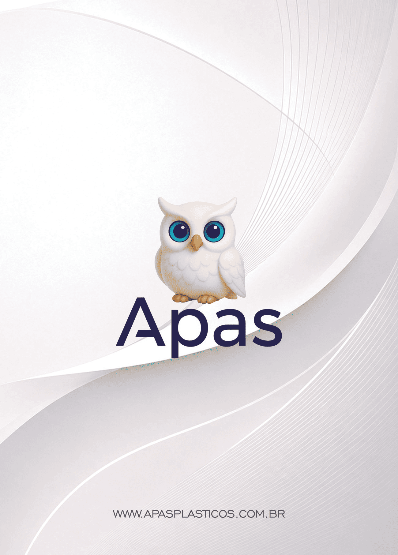 APAS - Página 47.png