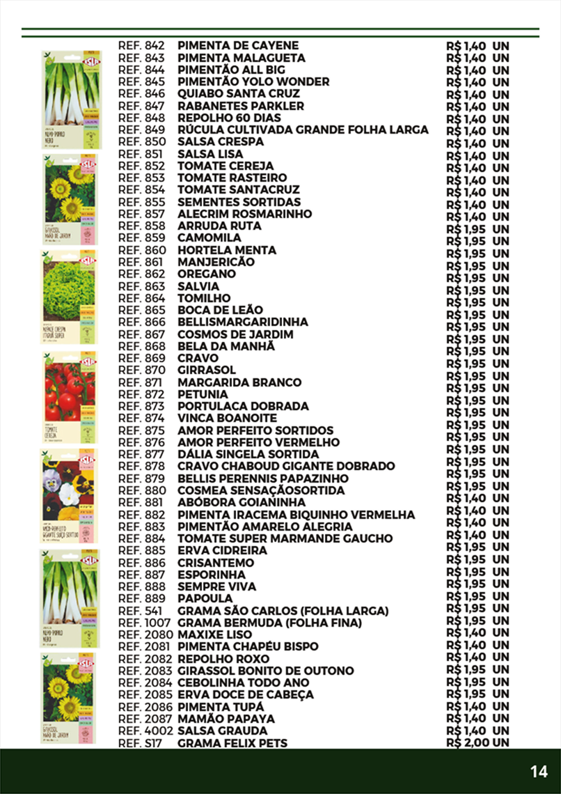 Terra Brasil - Página 14.png