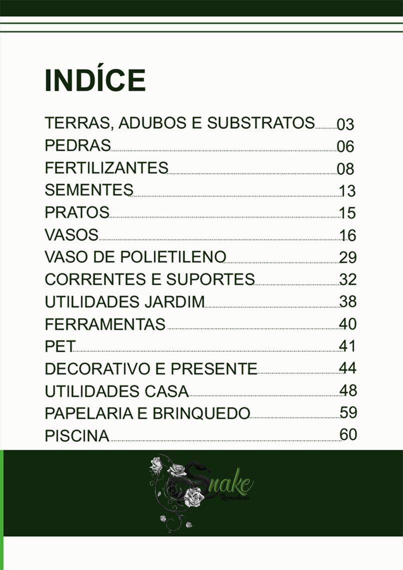 TERRA BRASIL - Página 2.png