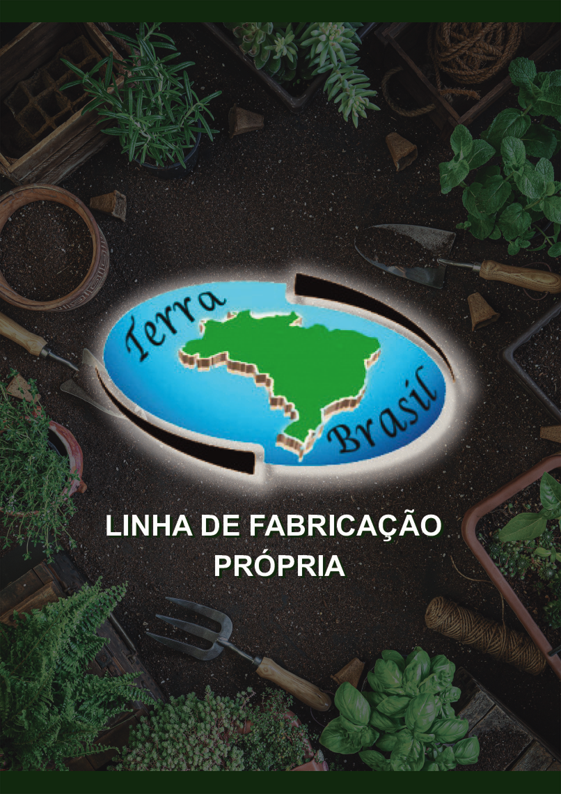 TERRA BRASIL - Página 1.png
