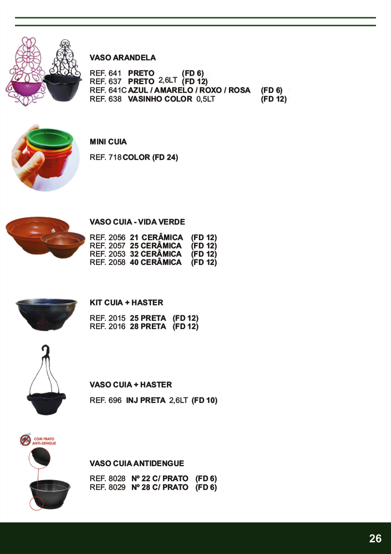 TERRA BRASIL - Página 26.png