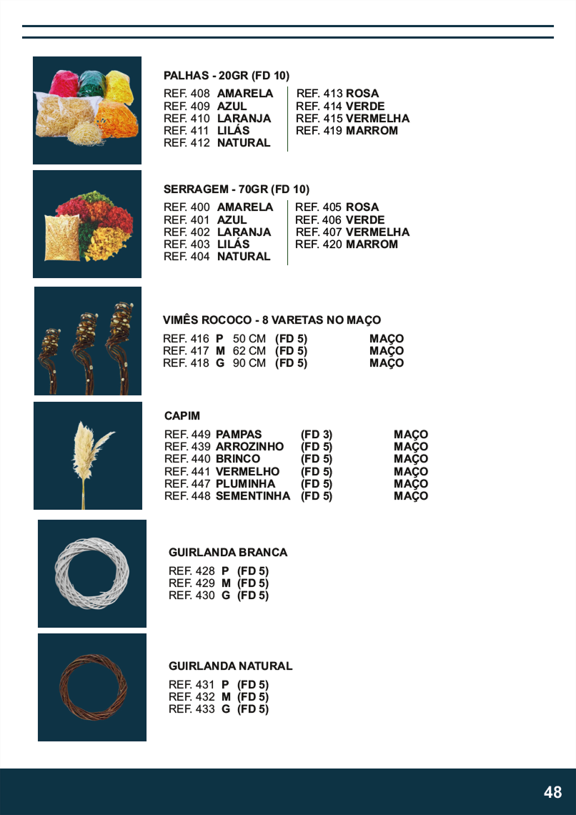 Terra Brasil - Página 48.png