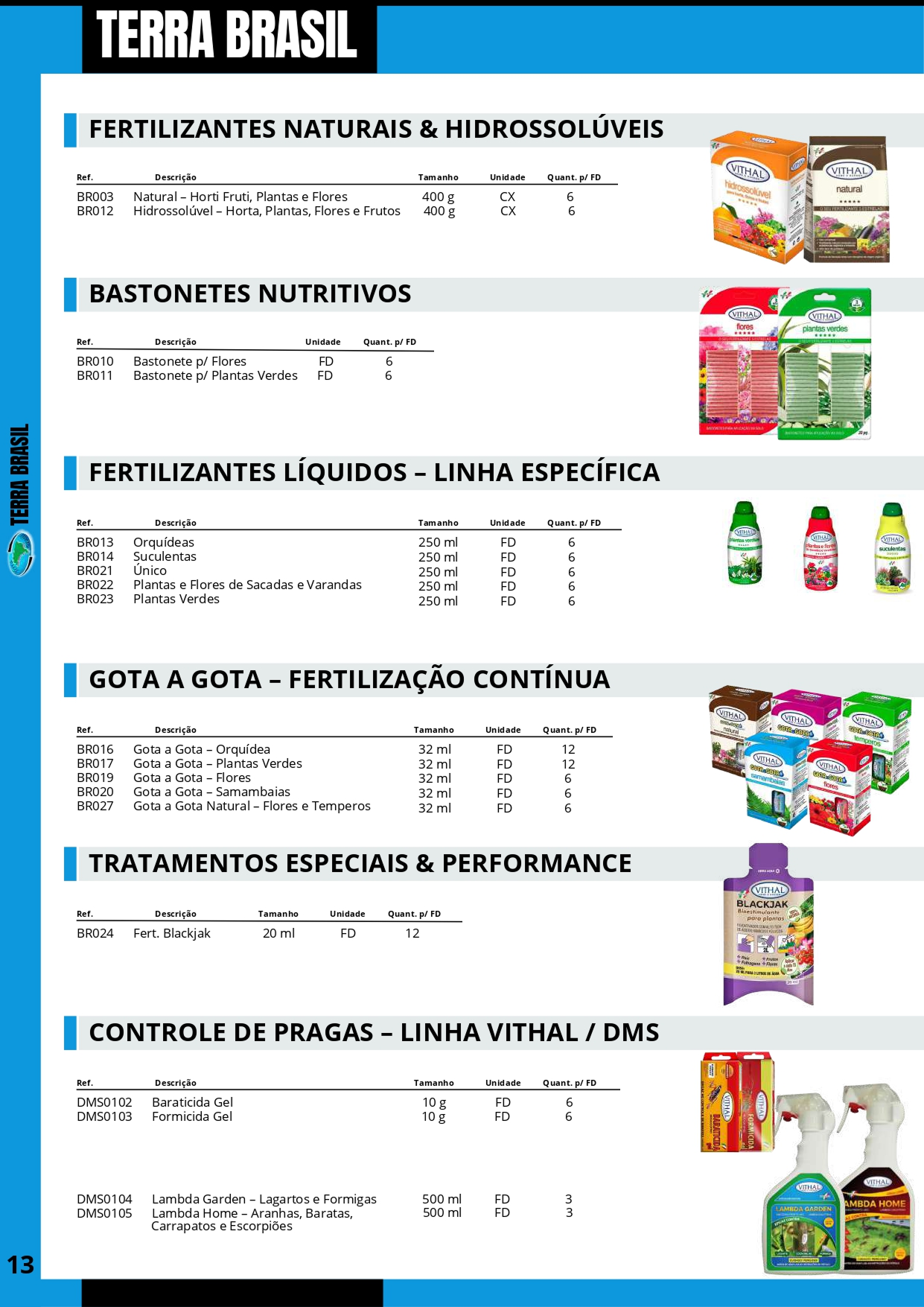 TERRA BRASIL - Página 13.png