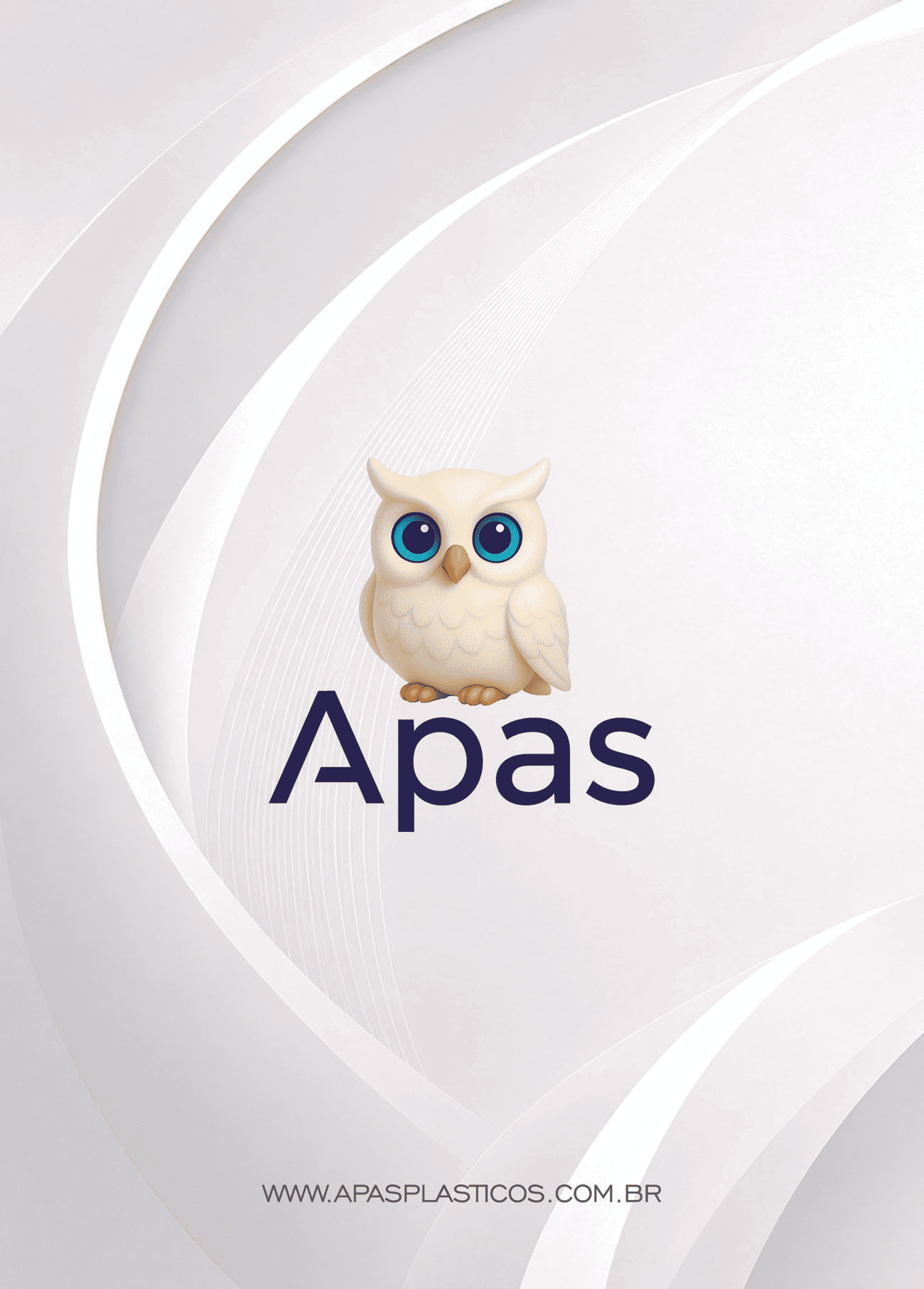 APAS - Página 2.png