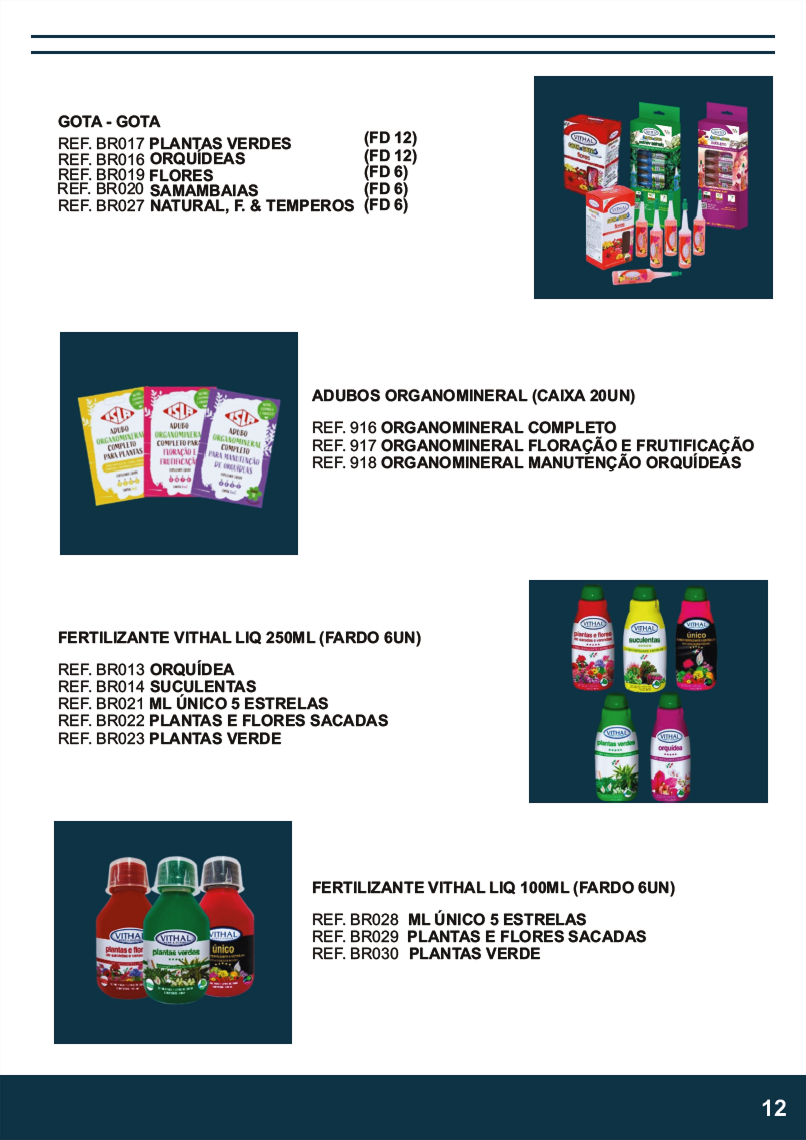 TERRA BRASIL - Página 12.png