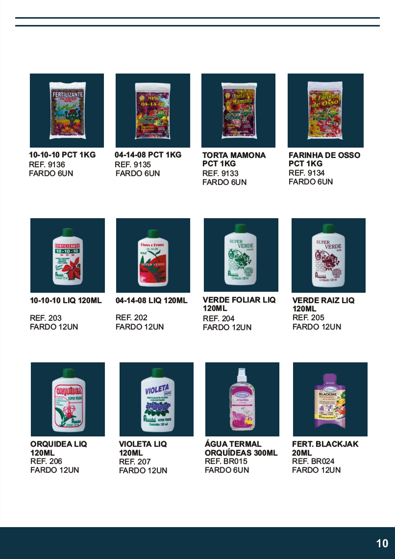 Terra Brasil - Página 10.png