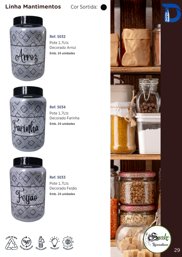 DITOY - Página 29.png