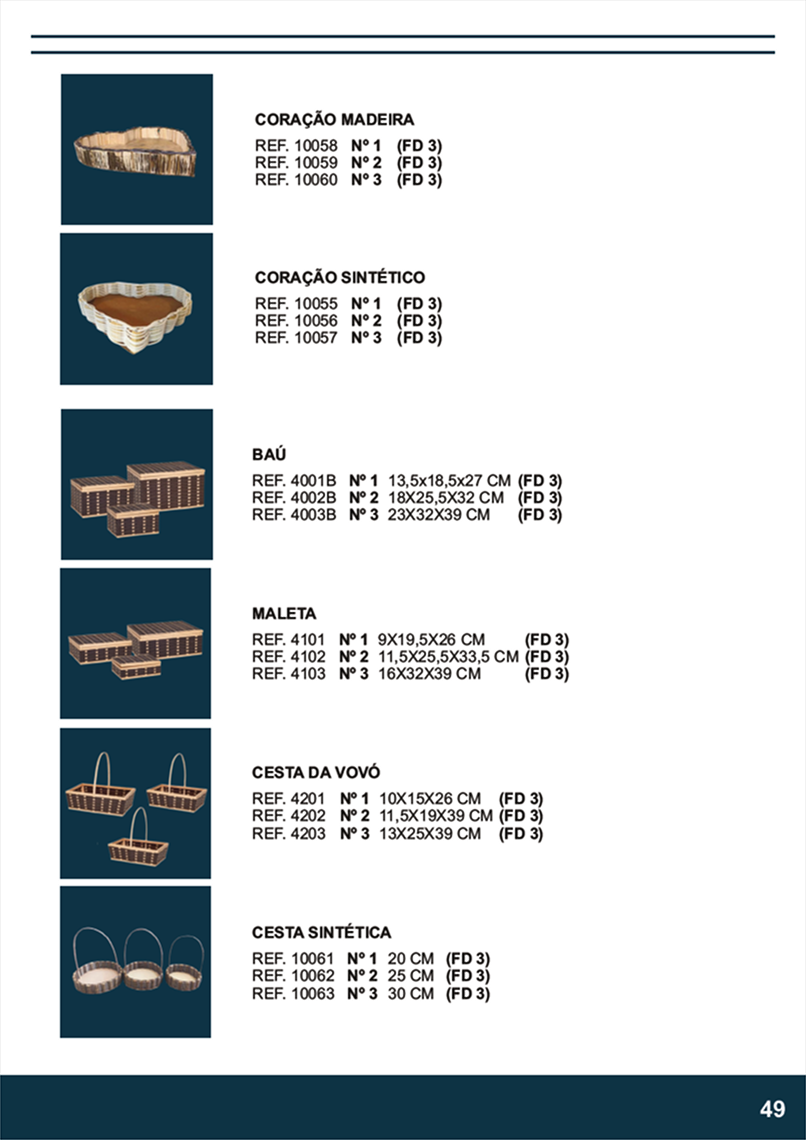 TERRA BRASIL - Página 49.png
