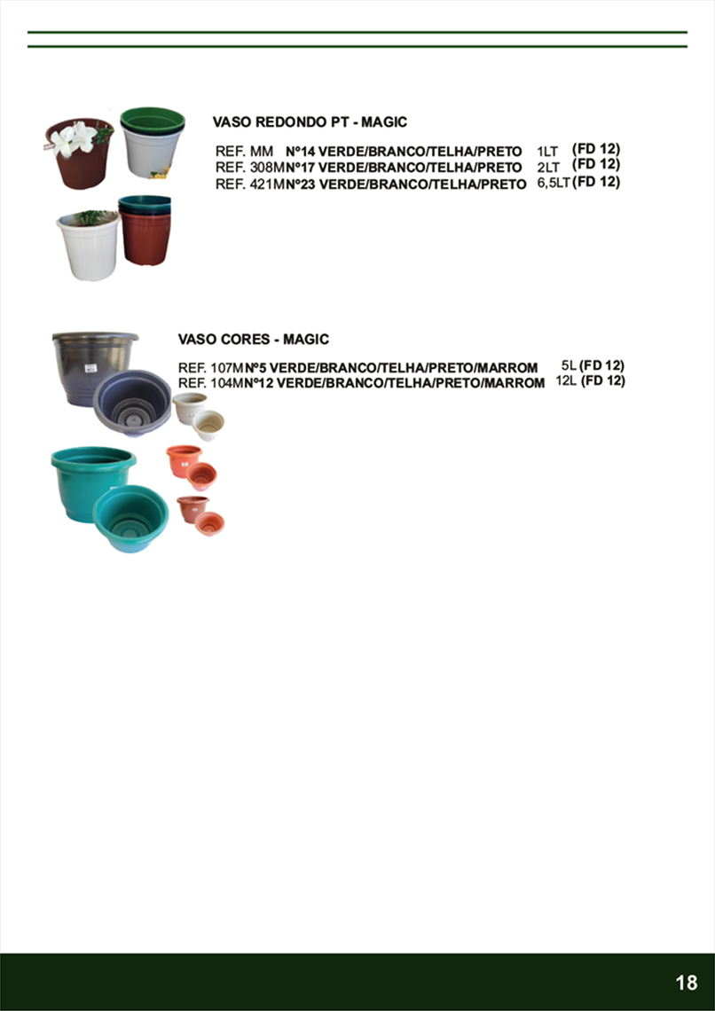 TERRA BRASIL - Página 18.png