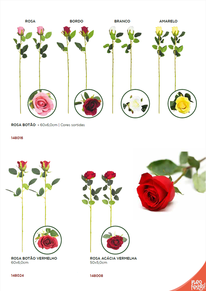 NEOFESTAS - Página 69.png