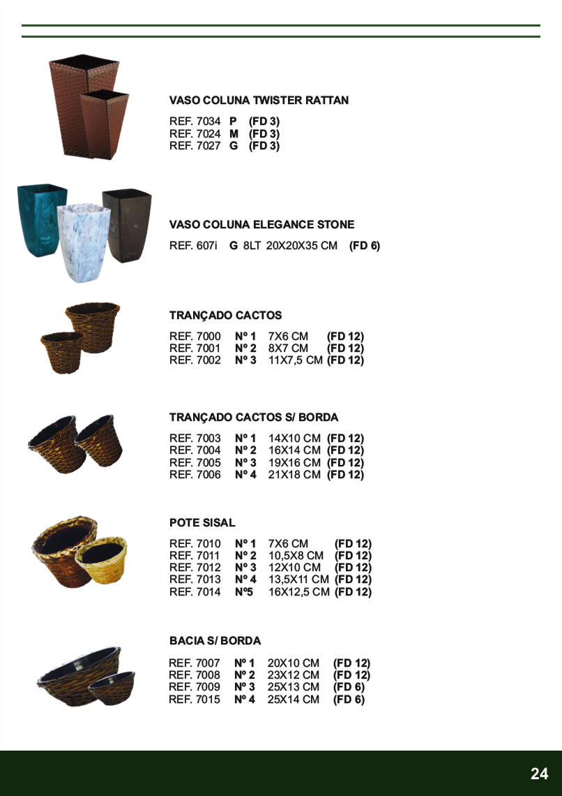 TERRA BRASIL - Página 24.png