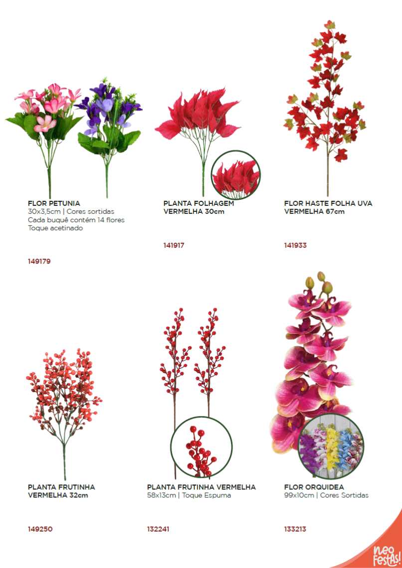 NEOFESTAS - Página 73.png