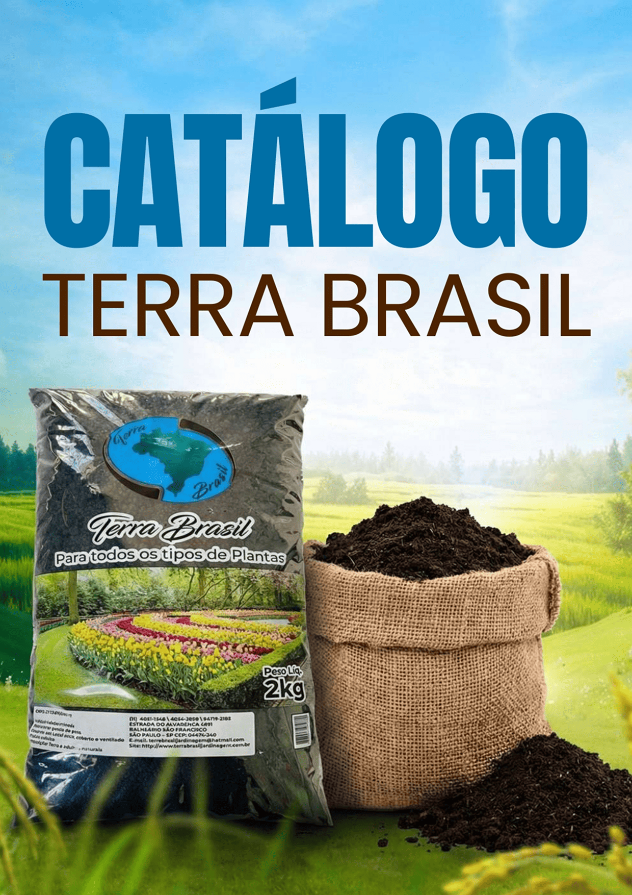 TERRA BRASIL - PÁGINA 1.png