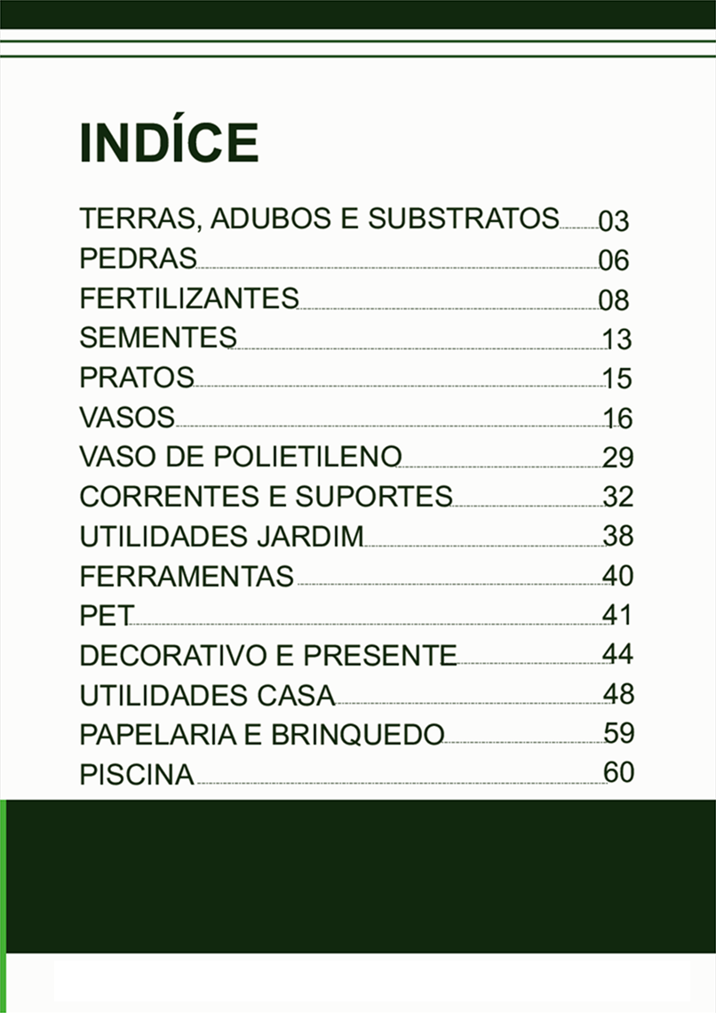 TERRA BRASIL - Página 2.png