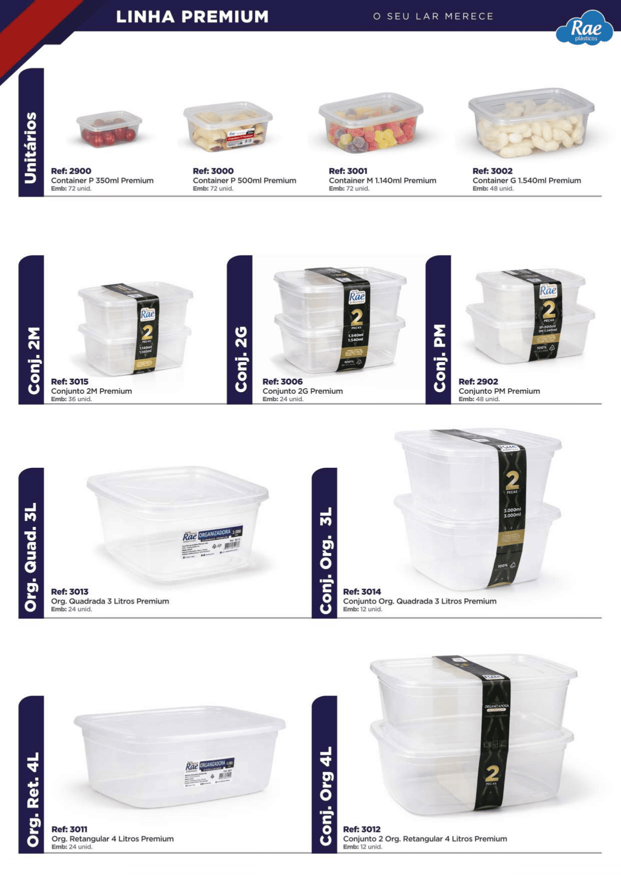 RAE PLÁSTICOS - PÁGINA 2.png