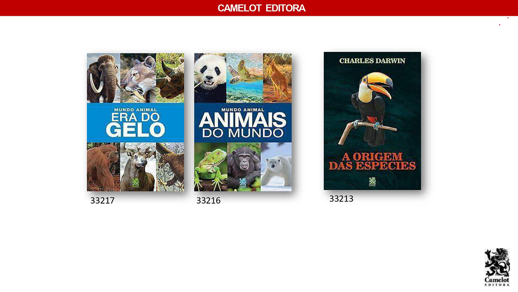 Camelot Editora - Página 24.png