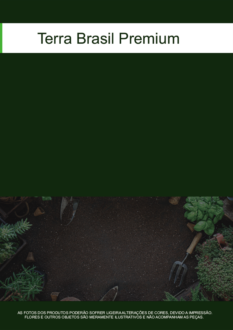 TERRA BRASIL - Página 64.png