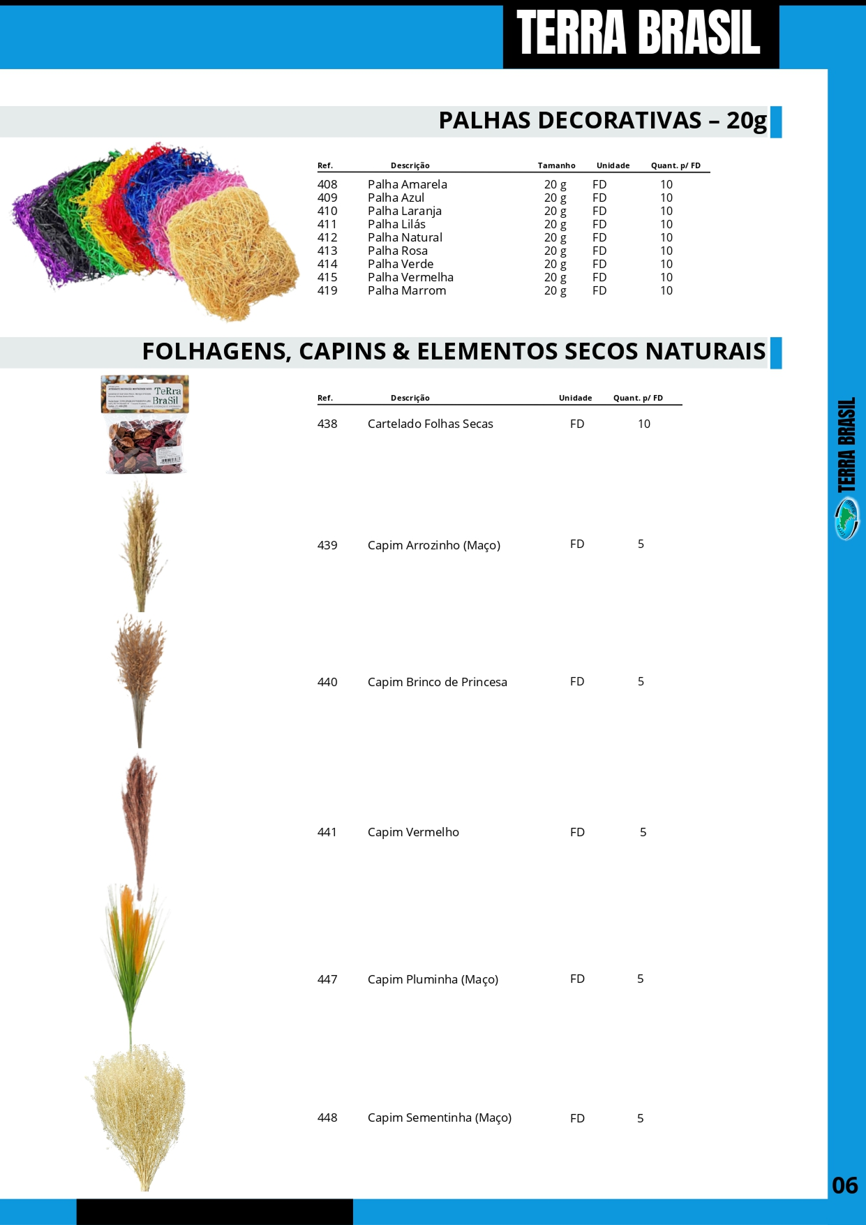 TERRA BRASIL - PÁGINA 6.png