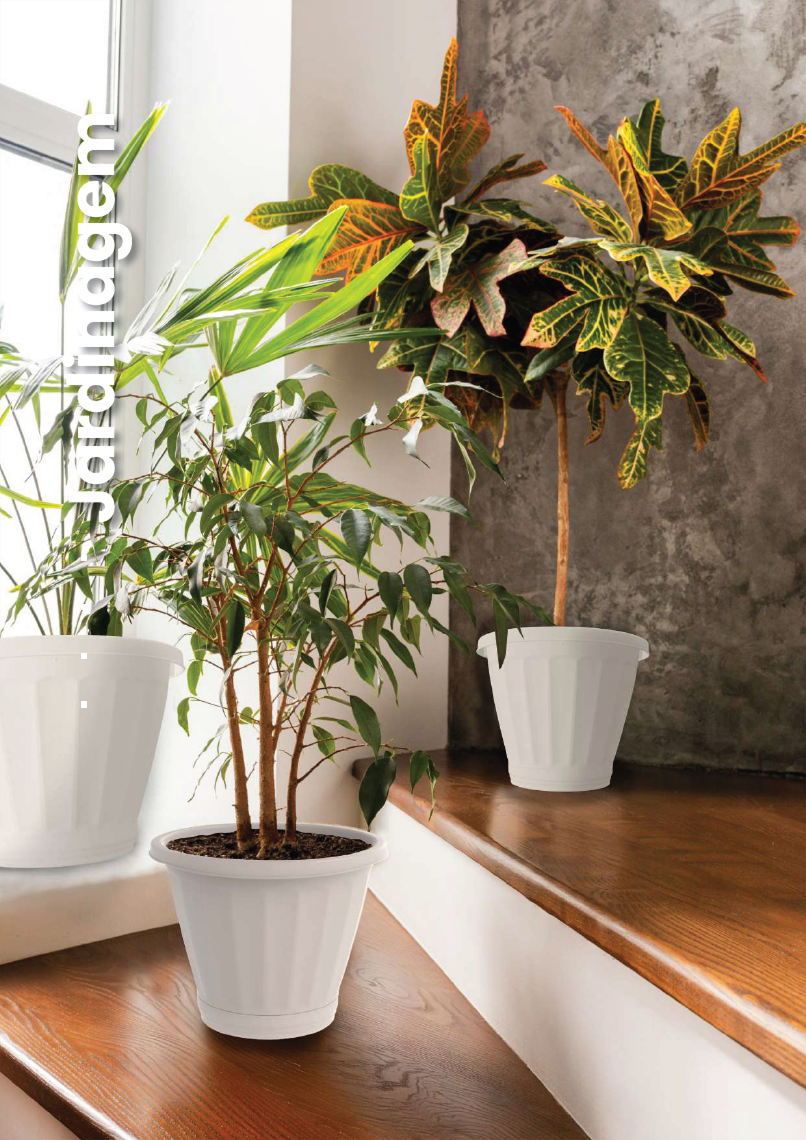 UNINJET - Página 35.png