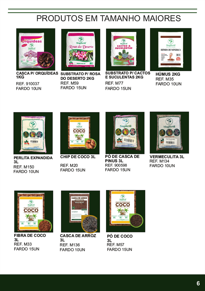 TERRA BRASIL - Página 6.png