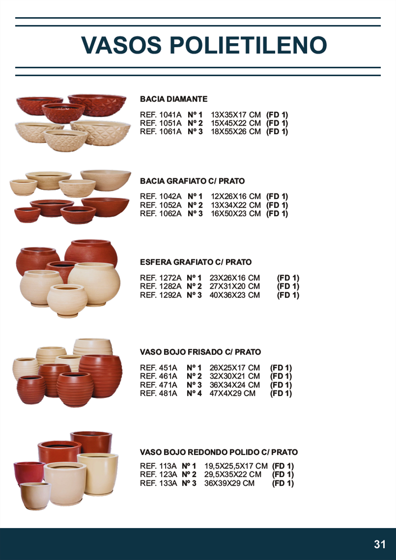 TERRA BRASIL - Página 31.png