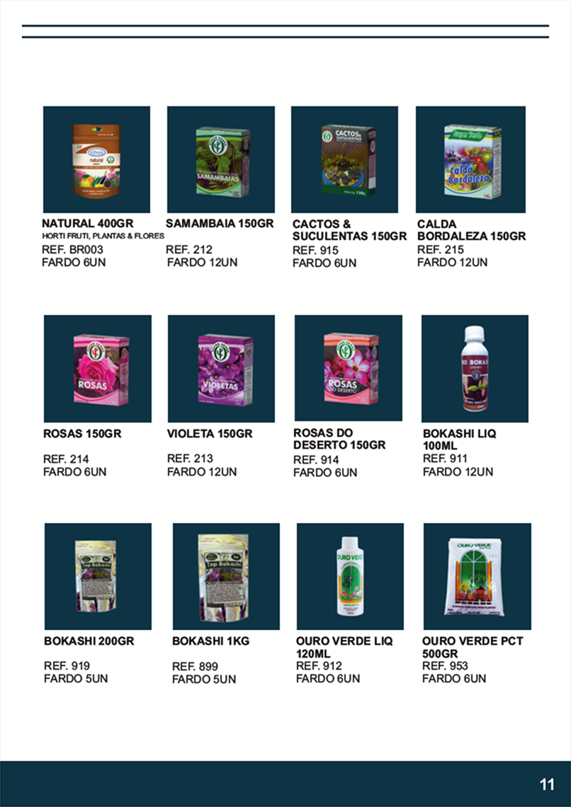 TERRA BRASIL - Página 11.png