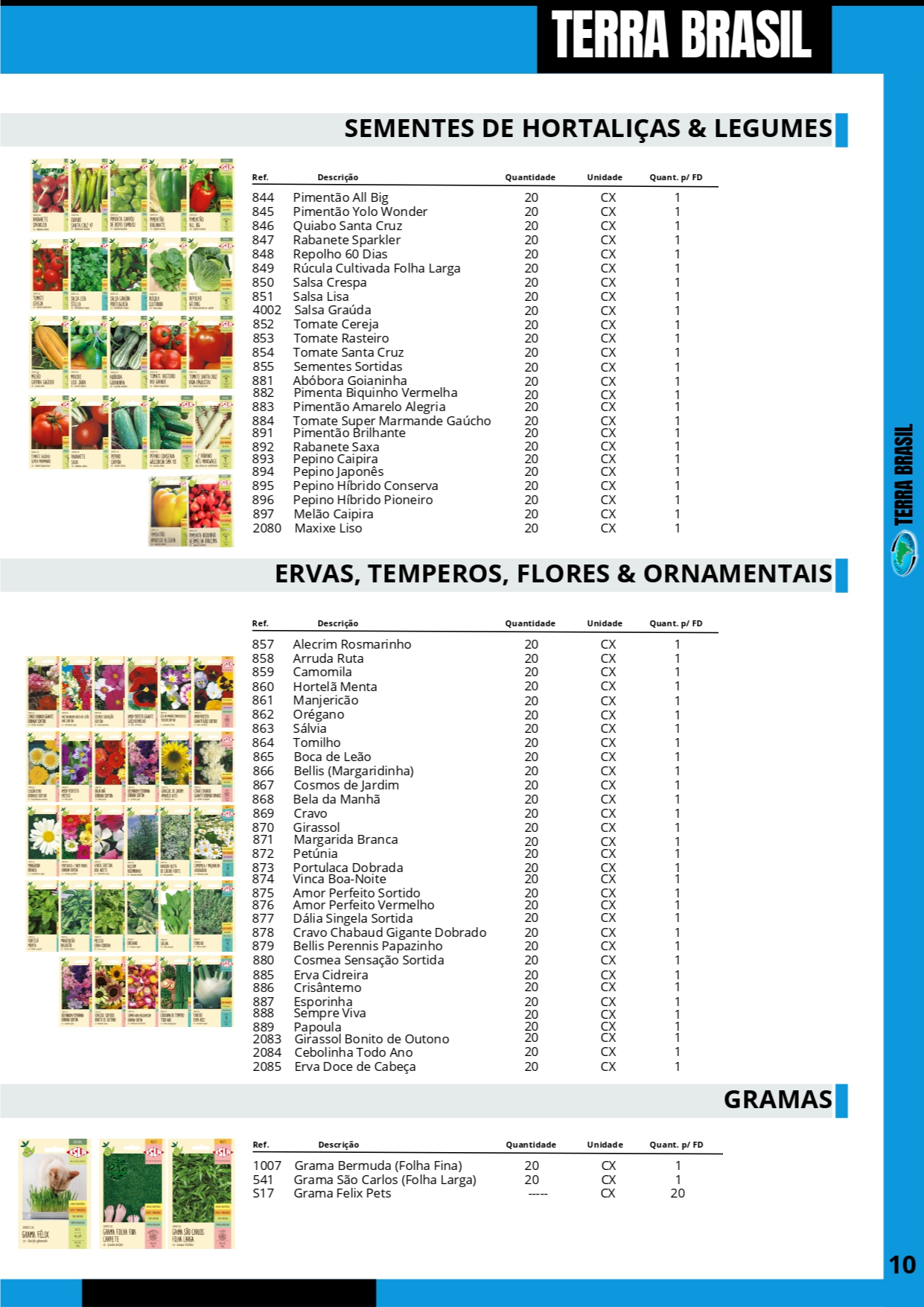 TERRA BRASIL - PÁGINA 10.png