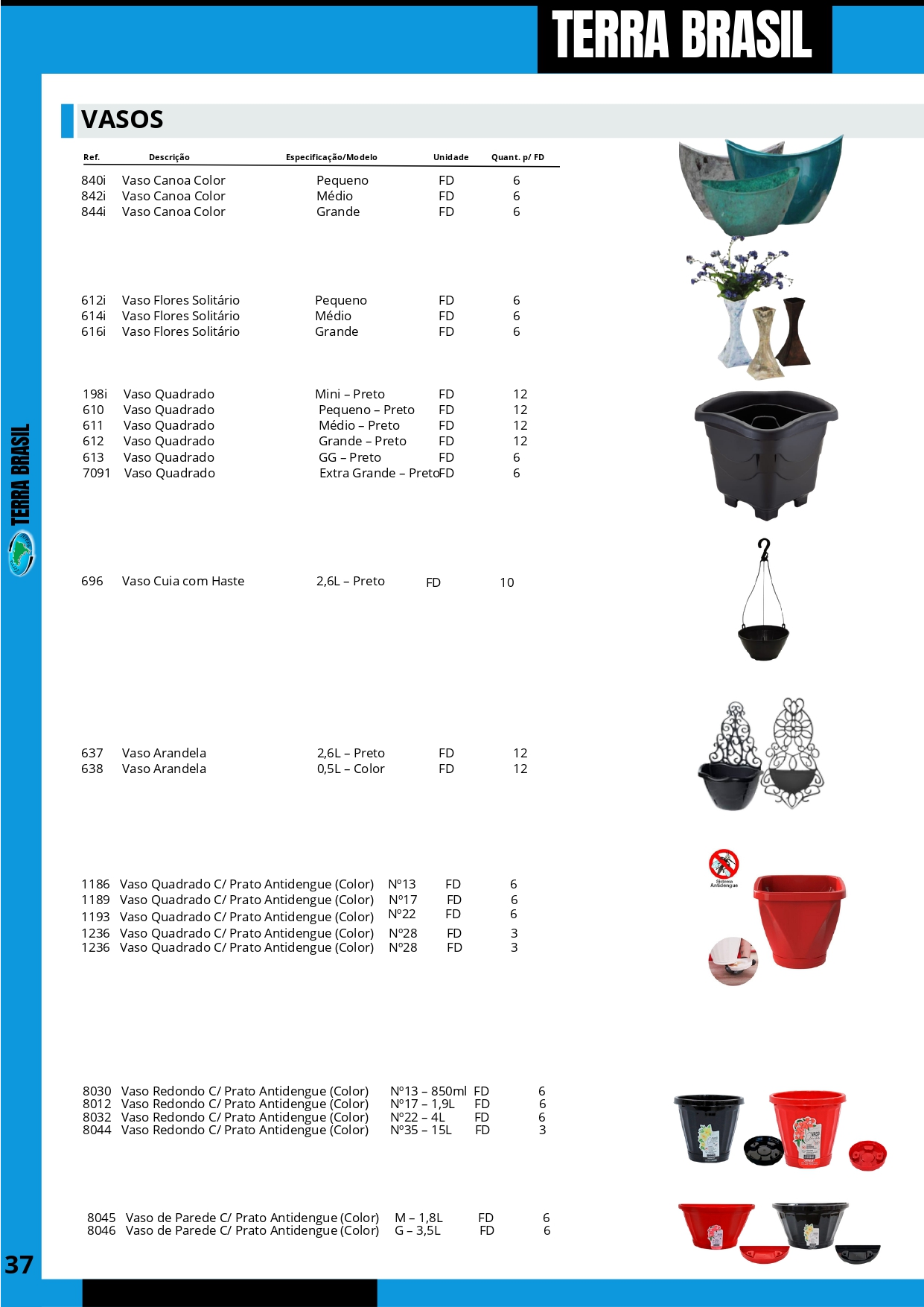 TERRA BRASIL - PÁGINA 37.png