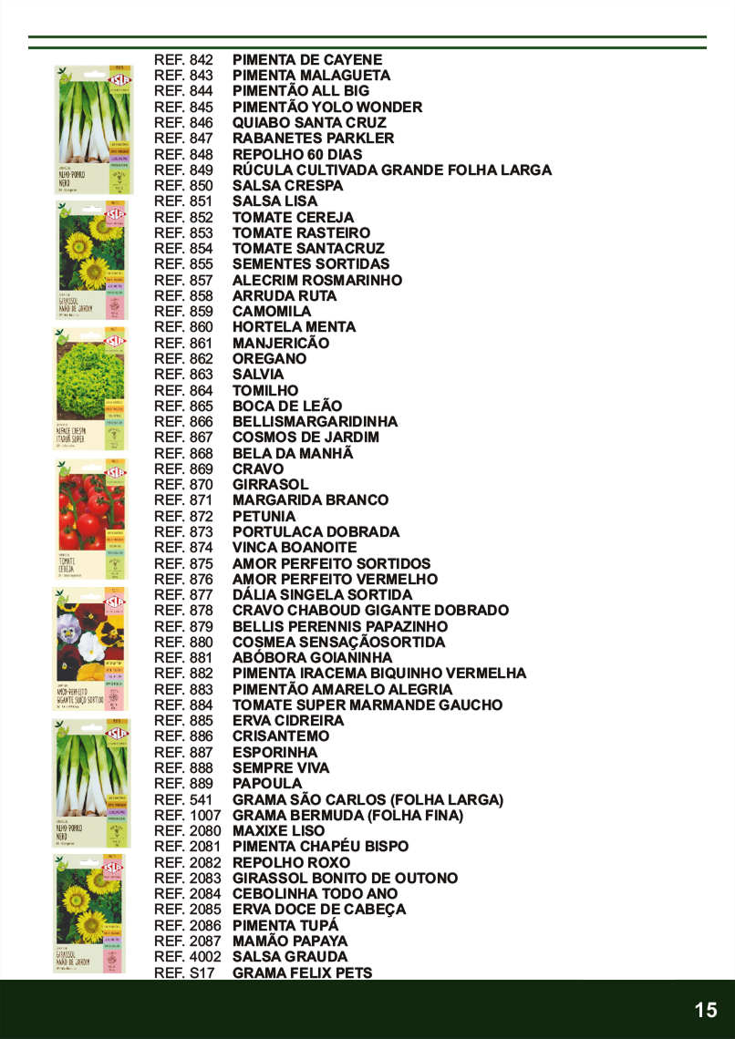 TERRA BRASIL - Página 15.png