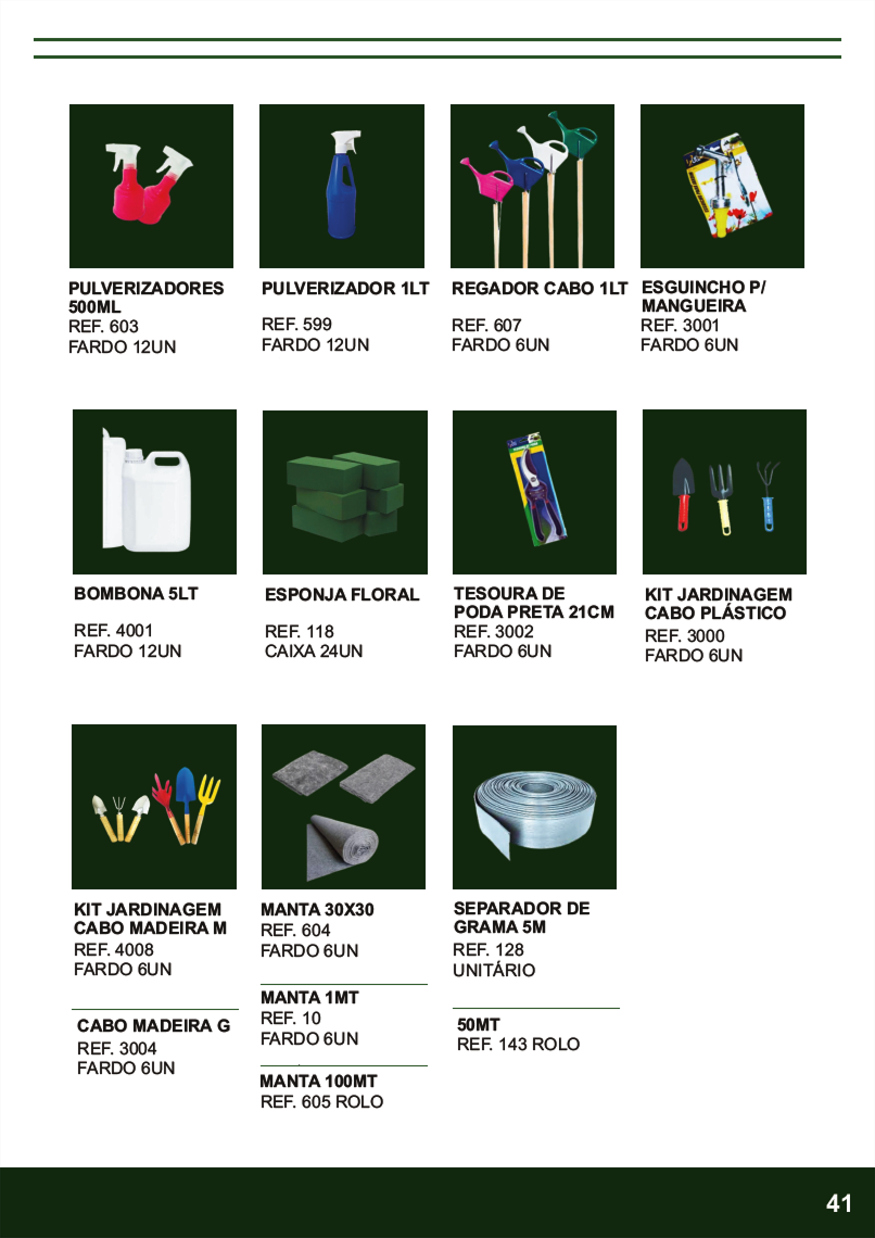 Terra Brasil - Página 41.png