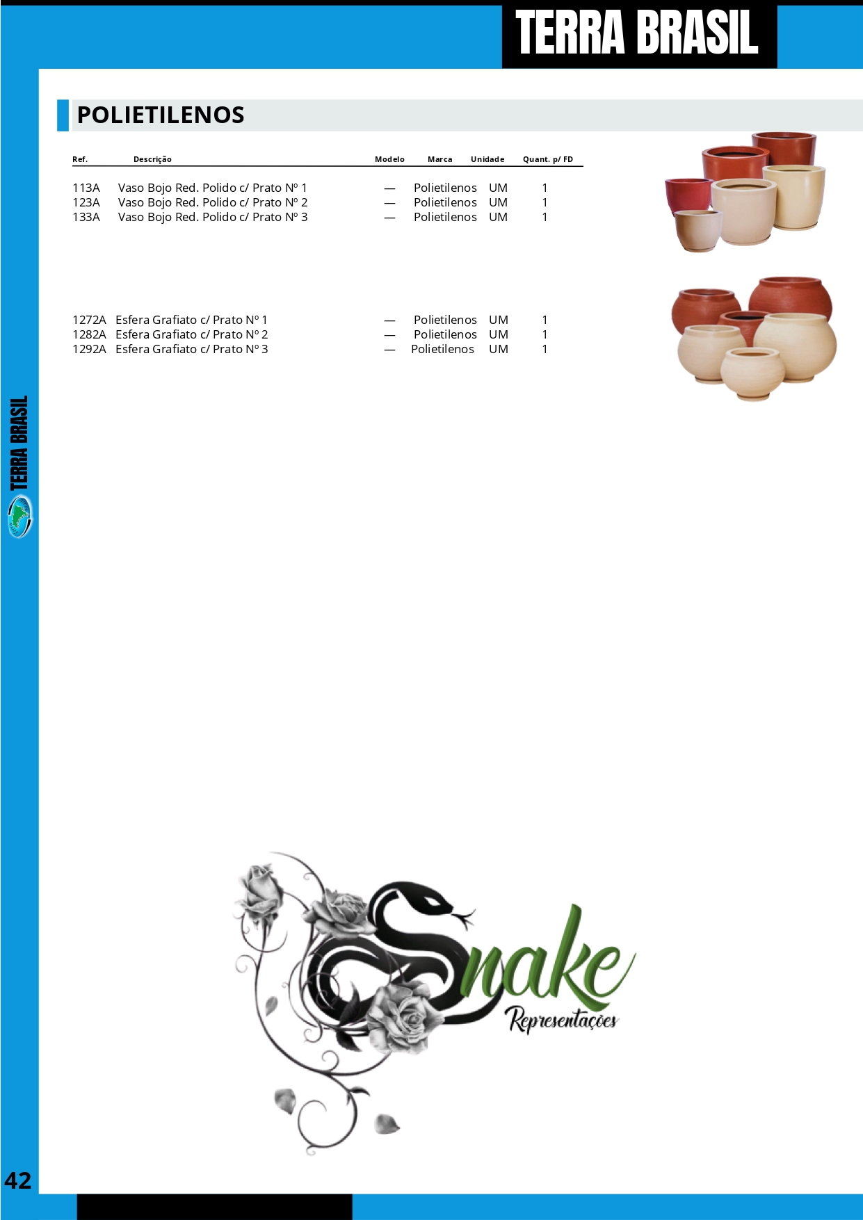 TERRA BRASIL - PÁGINA 42.png