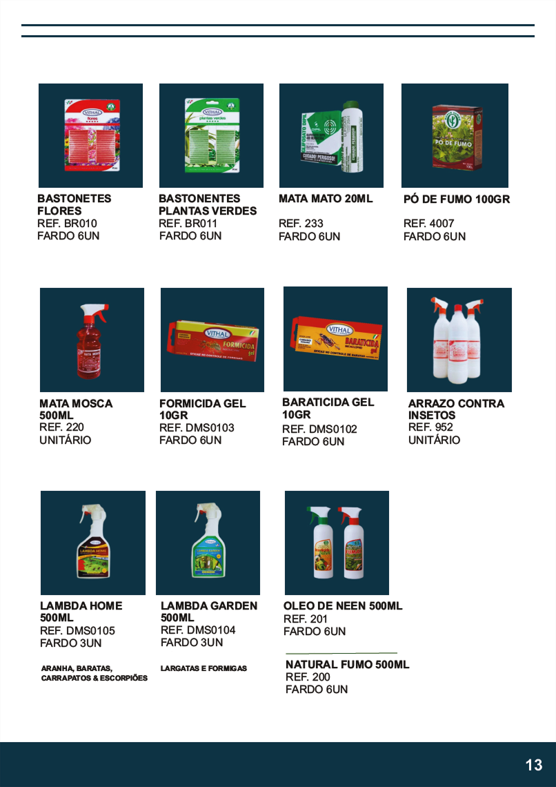 TERRA BRASIL - Página 13.png