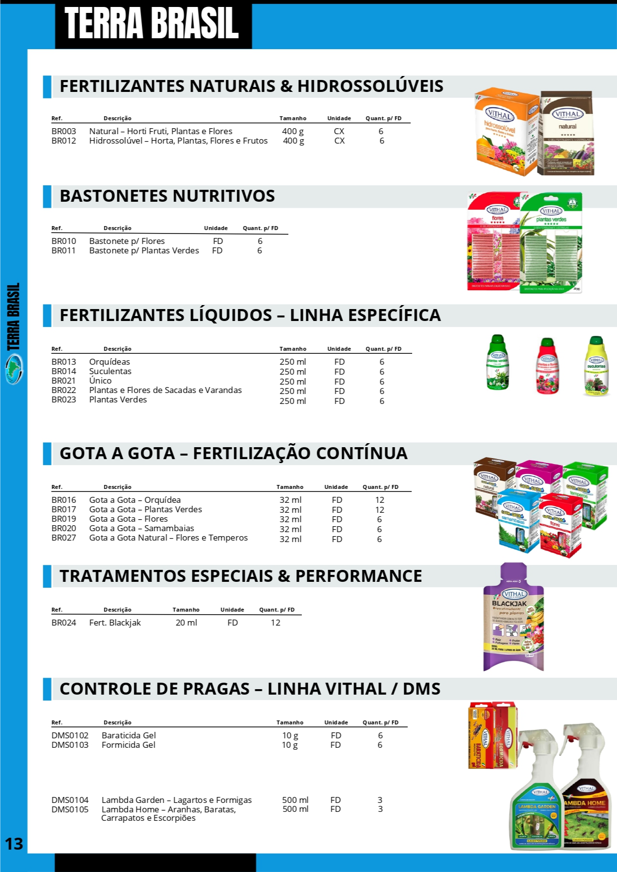 TERRA BRASIL - PÁGINA 13.png