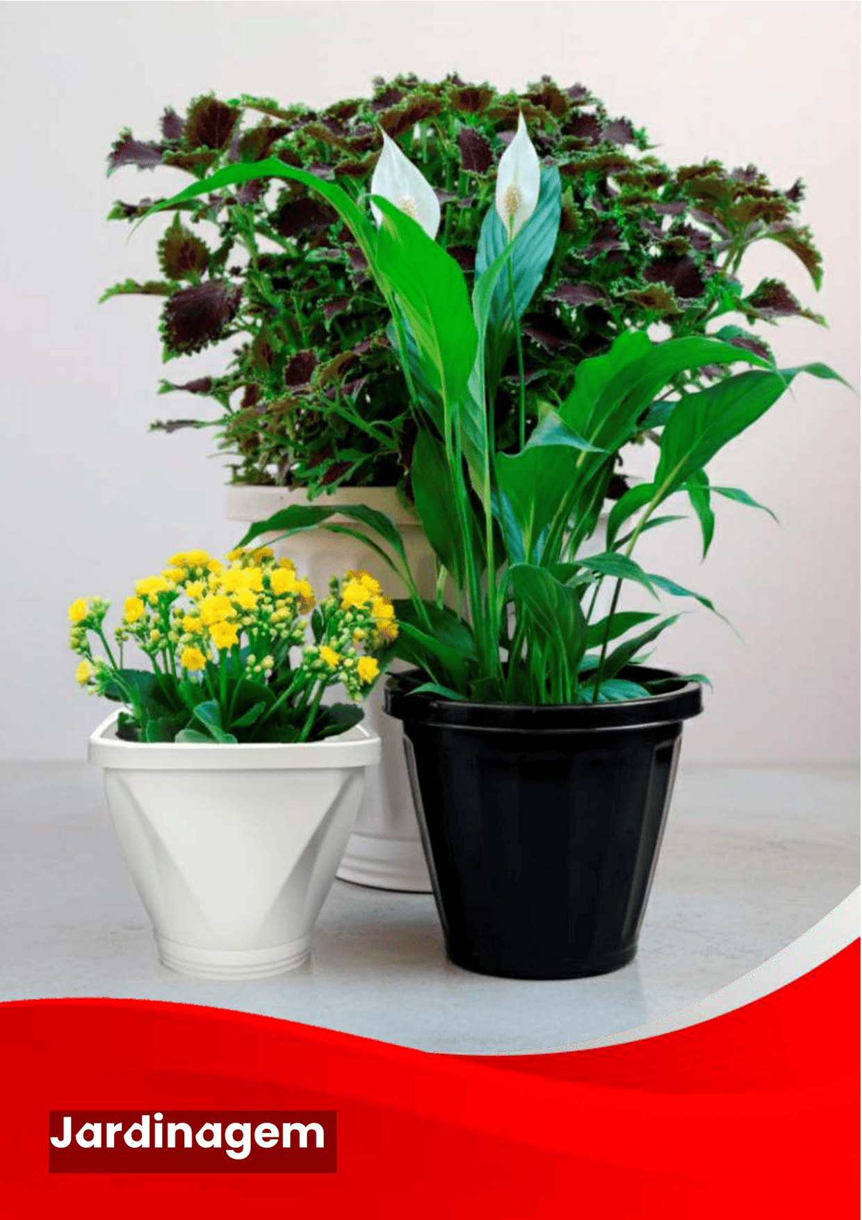 Uninjet - Página 37.png