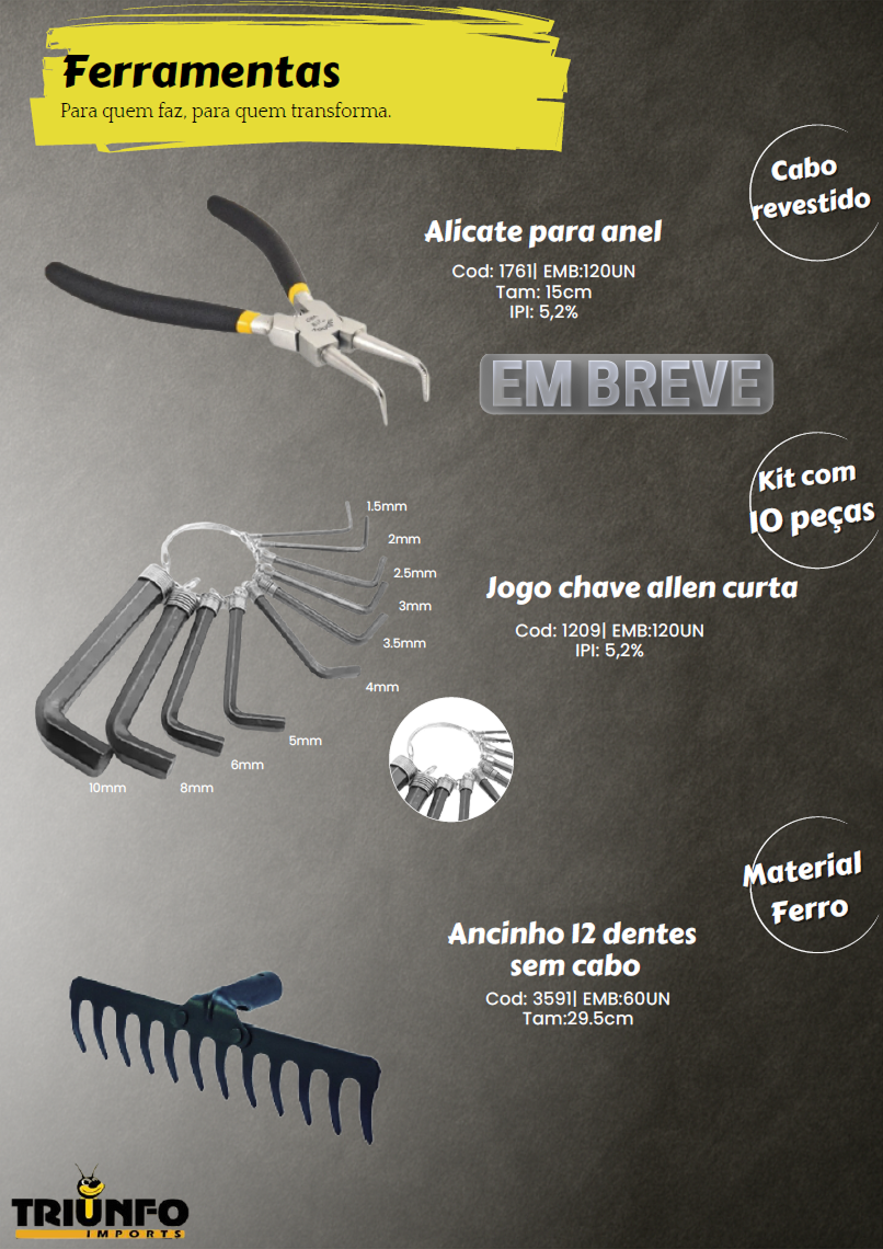 TRIUNFO - Página 27.png