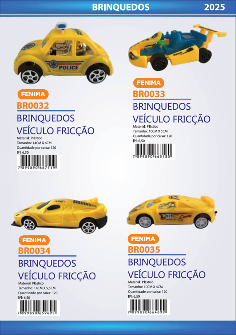 FENIMA - Página 100.png