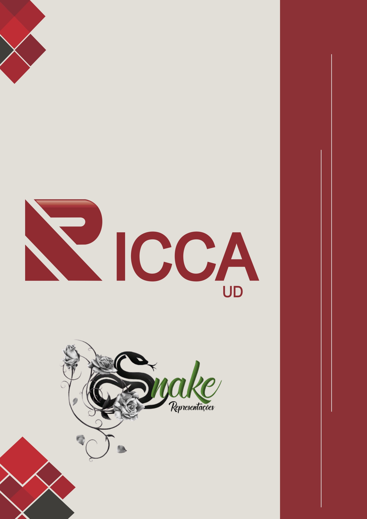 RICCA FÁBRICA - PÁGINA 4.png