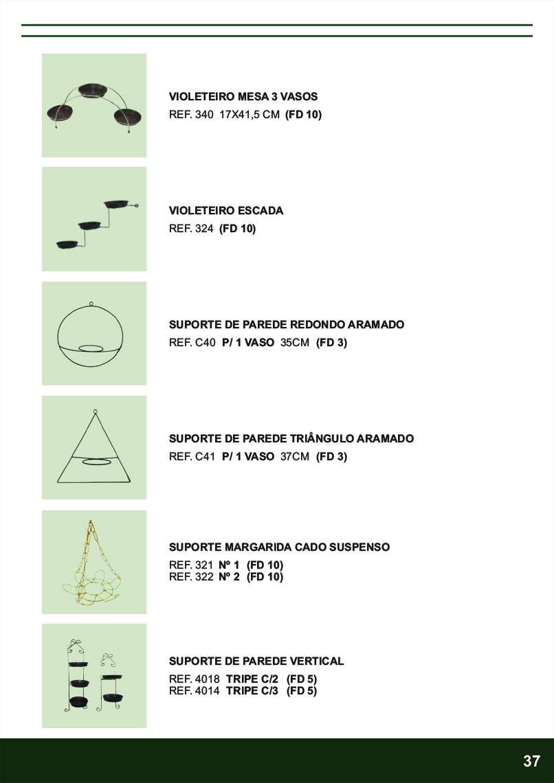 Terra Brasil - Página 37.png