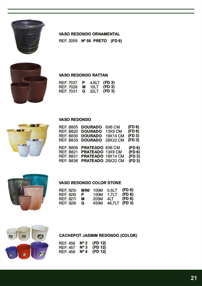 TERRA BRASIL - Página 21.png